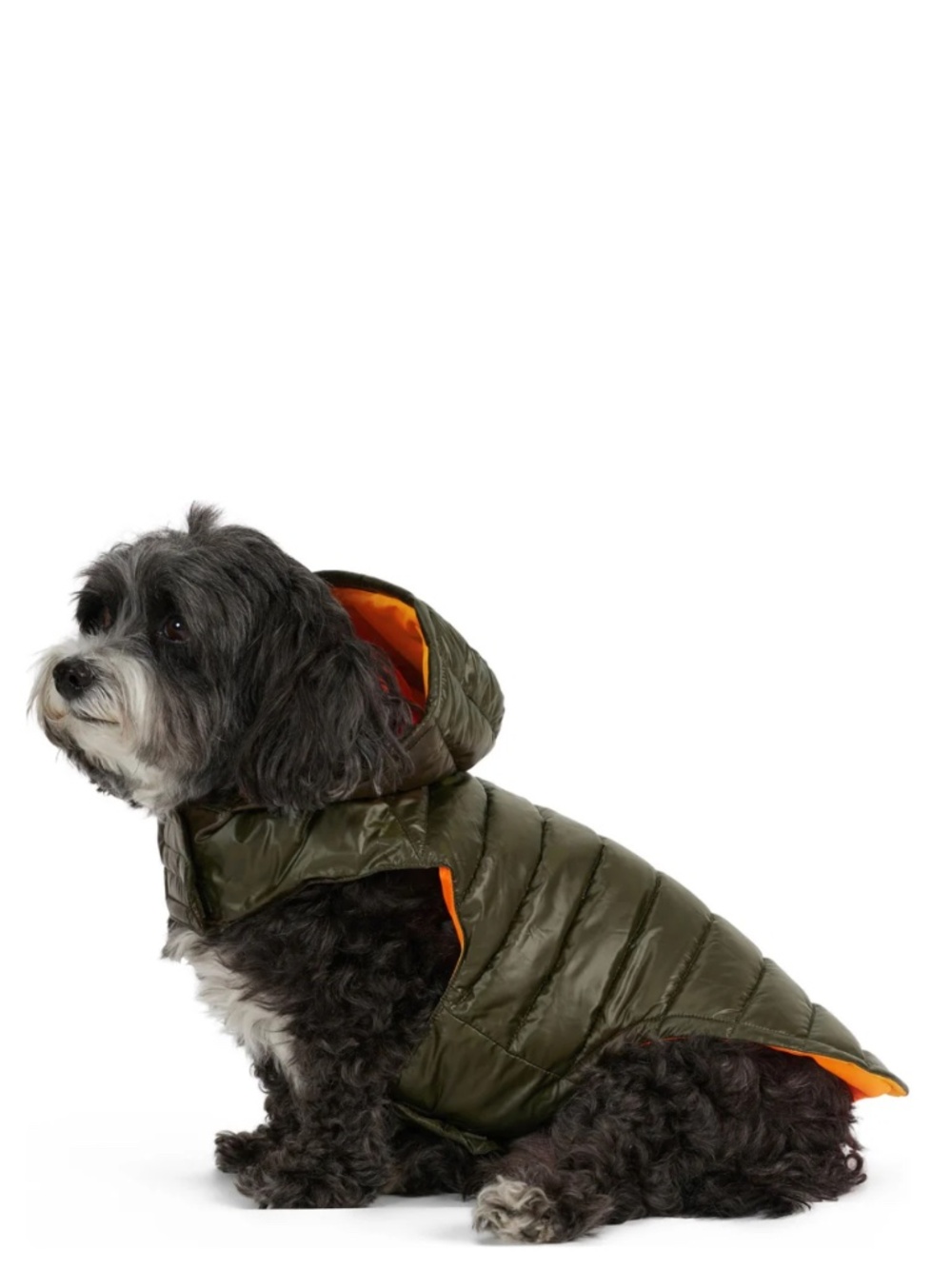 Pajar Black Puffer Doggie Raincoat